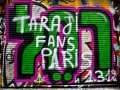 Paris Graffiti - Street Art