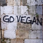 The City Whispers – Lisbon Street Graffiti