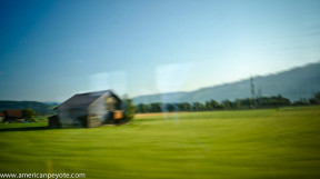 TrainLandscapeSwitzerland-06281