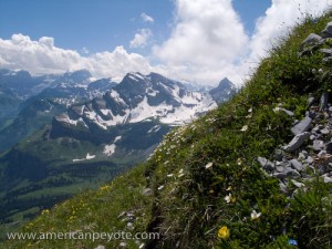 Braunwald Towards Ortstock