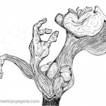 The Scream - Inspiration via Acute Boredom