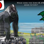 A Sony Alpha A900 Gorilla Eyes the DSLR Jungle